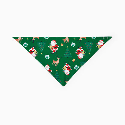 Family Christmas Pajamas with Dog Matching Dog and Owner Pajamas Pet Matching Pajamas